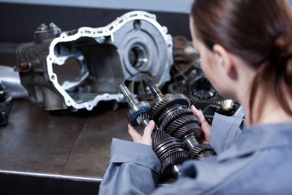 Timing Belt