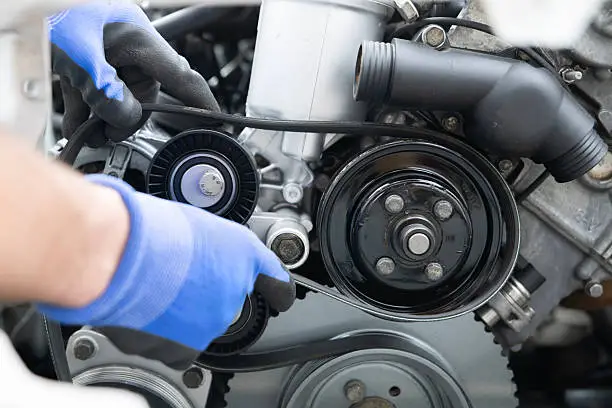 Timing Belt